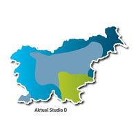 Radio Studio D logo