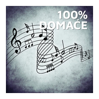 Radio 021 100% Domaće logo